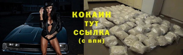 ГАЛЛЮЦИНОГЕННЫЕ ГРИБЫ Вуктыл