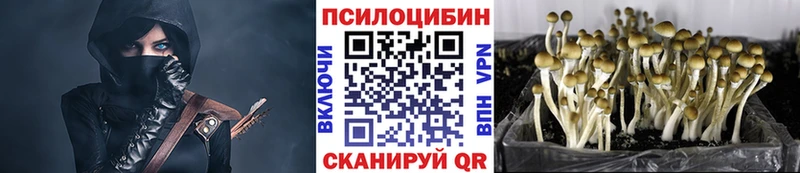 Галлюциногенные грибы прущие грибы Нижняя Салда